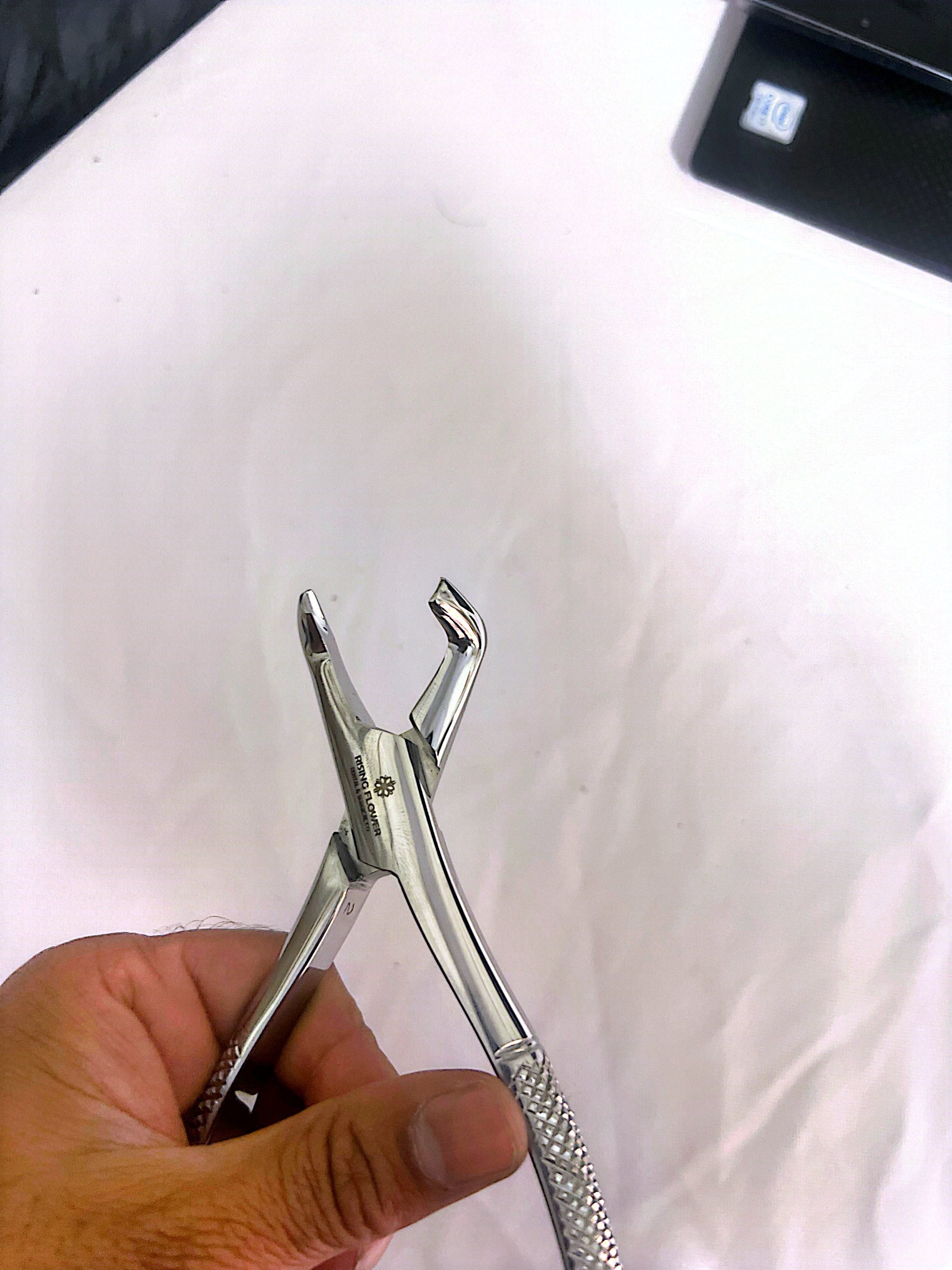 222 American Extraction Forceps, Lower Wisdom