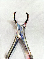 23 Cowhorn Lower Molars Extraction Forceps