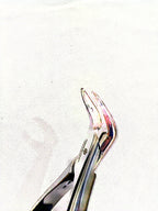 23 Cowhorn Lower Molars Extraction Forceps