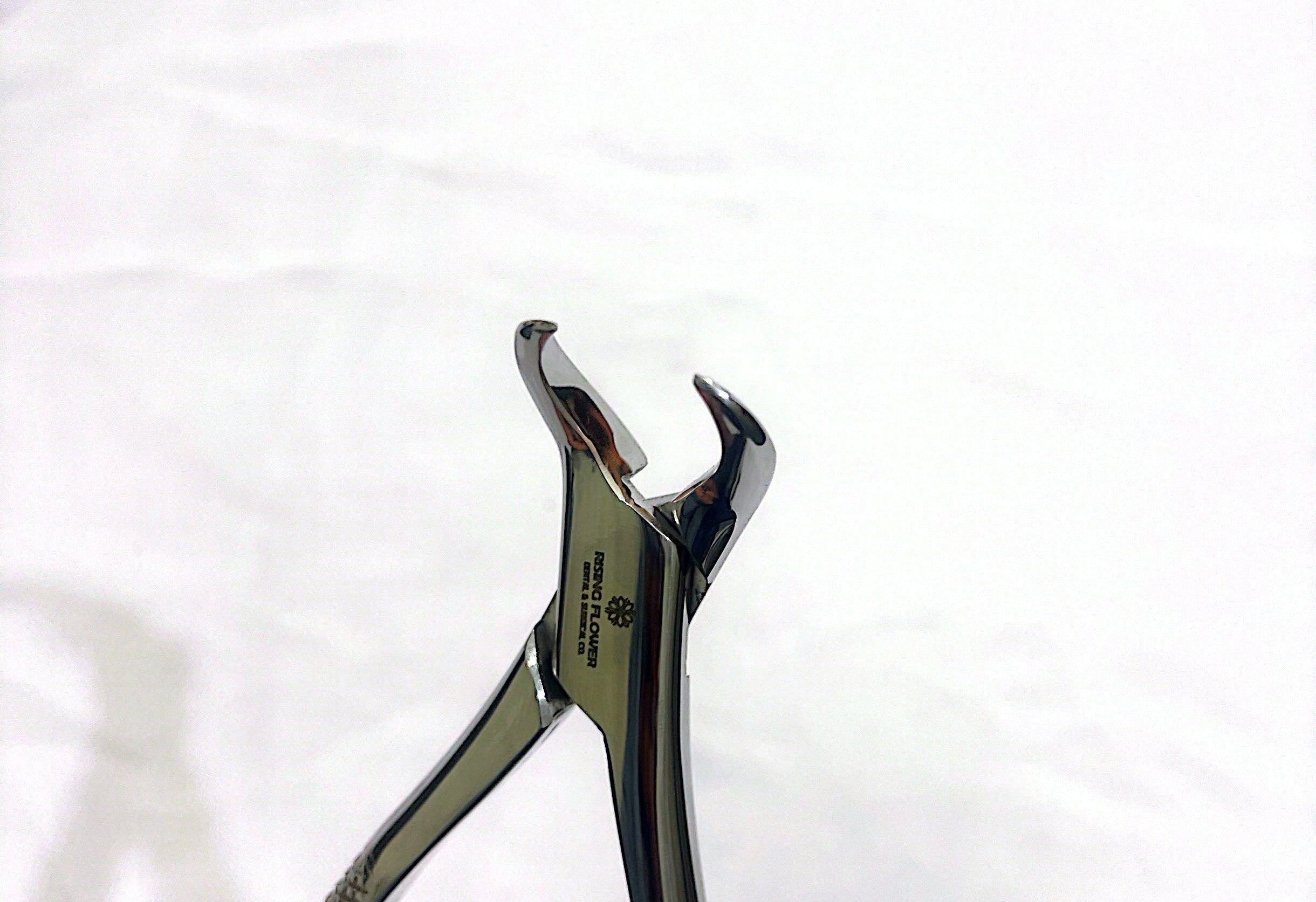 23 Cowhorn Lower Molars Extraction Forceps