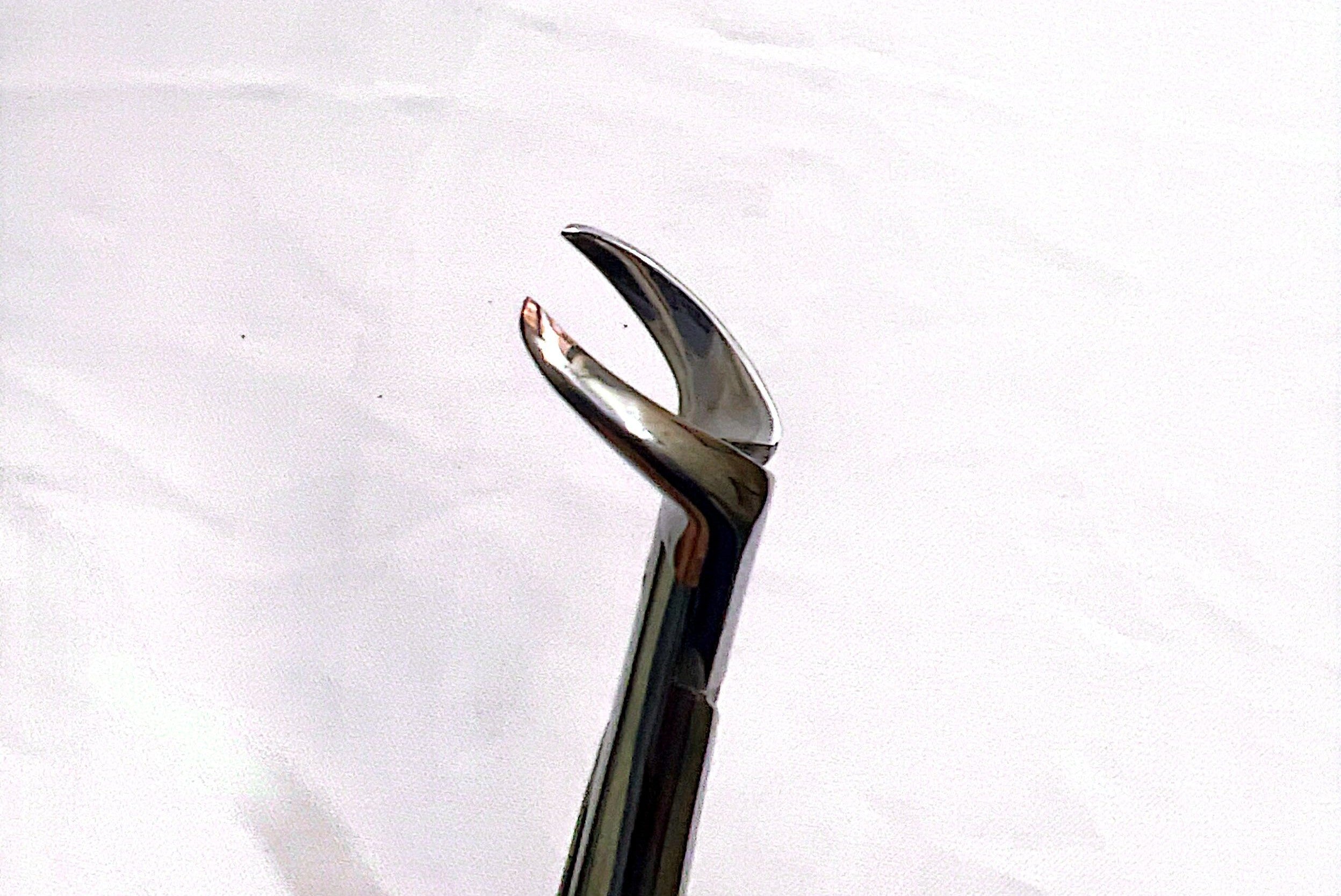 23 Cowhorn Lower Molars Extraction Forceps