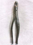 #10S Extraction Forceps