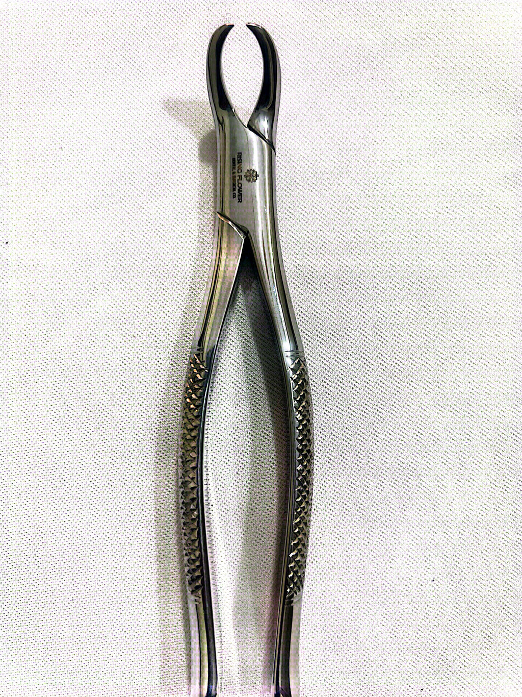 #23 Lower Molar Extraction Forceps (Cowhorn)