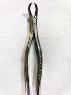 #23 Lower Molar Extraction Forceps (Cowhorn)