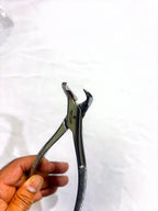 #23 Lower Molar Extraction Forceps (Cowhorn)