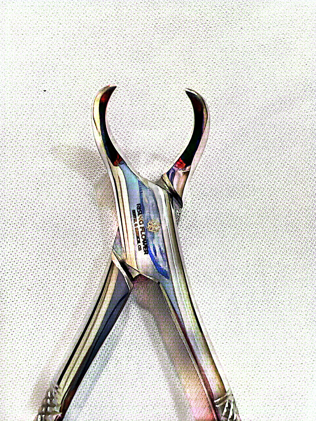 #23 Lower Molar Extraction Forceps (Cowhorn)