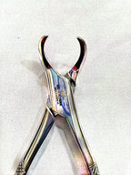 #23 Lower Molar Extraction Forceps (Cowhorn)