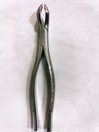 #10S Extraction Forceps