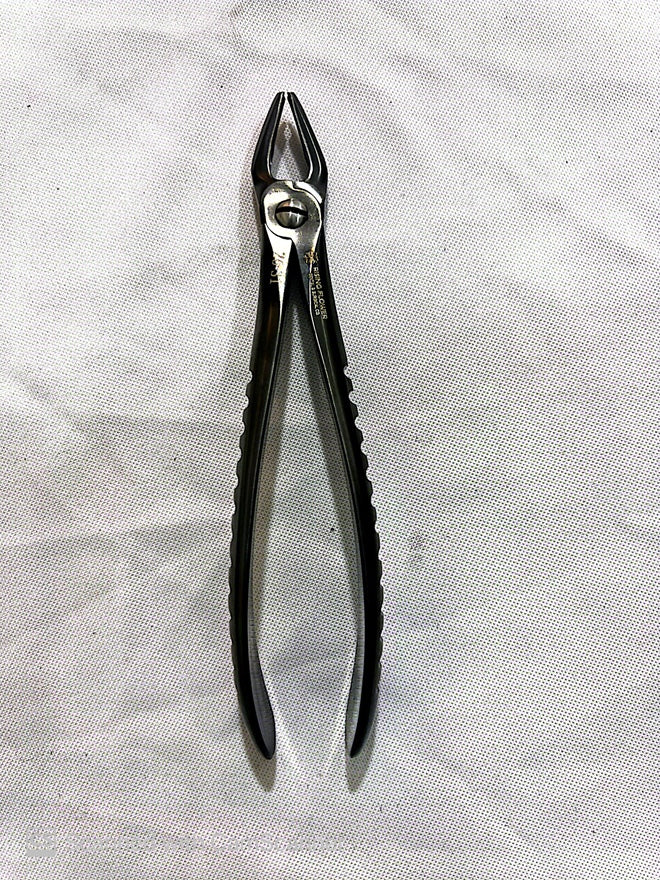 RF-F7N dental extraction forceps,#7N