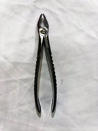 RF-F7N dental extraction forceps,#7N