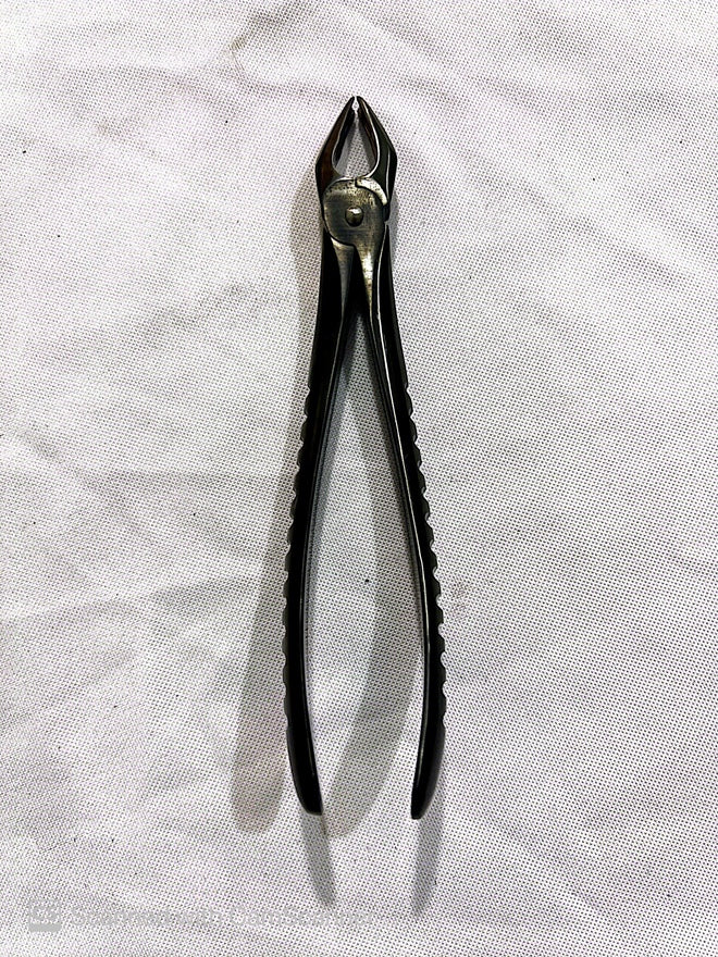 RF-F7N dental extraction forceps,#7N