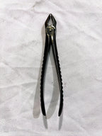 RF-F7N dental extraction forceps,#7N
