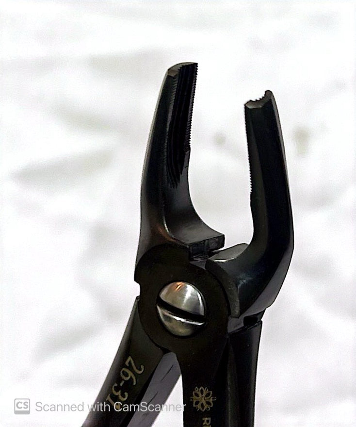 RF-F7N dental extraction forceps,#7N